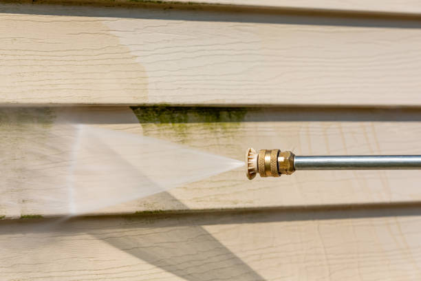 Best Exterior Home Cleaning  in Westvle, IL